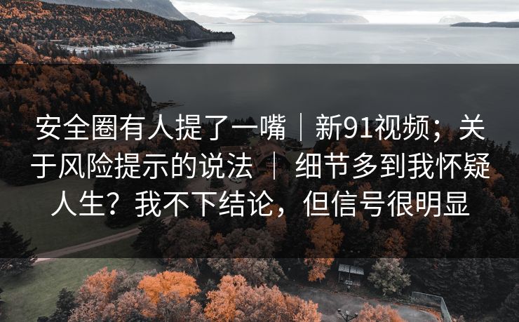 安全圈有人提了一嘴｜新91视频；关于风险提示的说法 ｜ 细节多到我怀疑人生？我不下结论，但信号很明显
